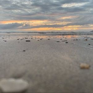 Meet your Posher, Kira